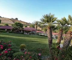 Imperatore di Puglia - Circondati dal verde