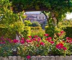 Il giardino di rose