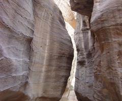 Maura Vedù CartOrange Vicenza -  Petra, Giordania