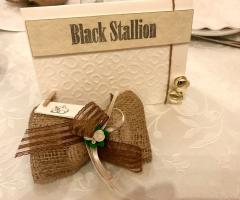 Fast & Events - Segna-tavolo e bomboniera hand-made. Tema matrimonio: cavalli.