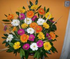 Composizione gerbere colorate e spighe di grano