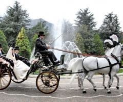 Spose in carrozza