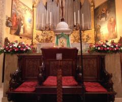 Matrimonio Gerbere Fuxia