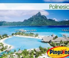 Pinguino Viaggi Baronissi a Salerno - Viaggi di nozze