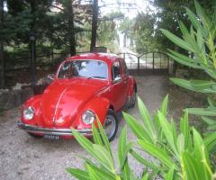 Maggiolino 1979 Wedding - Noleggio auto per il matrimonio a Viterbo