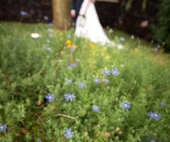 Fotografo matrimoni e cerimonie, ControLuce ad Aci Castello (Catania)