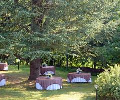 Allestimento tavoli in giardino