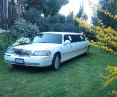 Lincoln town car royale