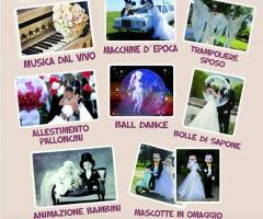 Pan di Zucchero - Servizi e novità per il matrimonio a Campobasso