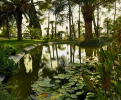 Laghetto del giardino dell'hotel