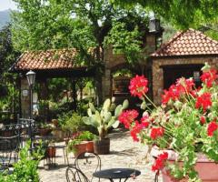 spazi verdi dell'Azienda Agrituristica Bergi curati con dedizione