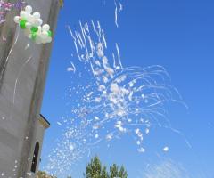 Uscita sposi - Mister Wedding Planner