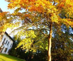 D'autunno il giardino di Villa da Prato si accende di bellissimi colori