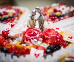 Ex Animo - Torta, particolari