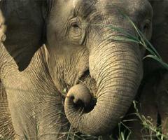 Valeria Lazzarini CartOrange - Il fascino dello Sri Lanka