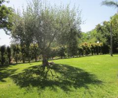 Boutique di Charme - Il giardino