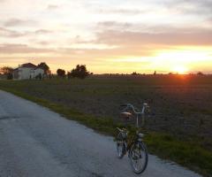 Viale d'ingresso a Tenuta La Comuna