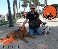 JMD Professionisti al vostro servizio