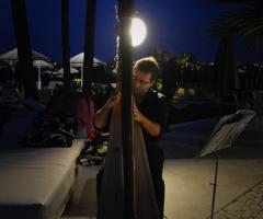 Arpa al chiaro di luna