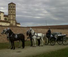 Azienda Marocco - Noleggio di carrozze per matrimoni a Strambino
