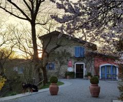 Agriturismo il Melo Rosso - Vista della location