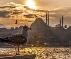 Emozioni Viaggiando By Silvia  - Turchia