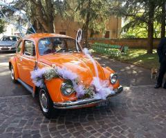 Alcuni esempi di allestimento