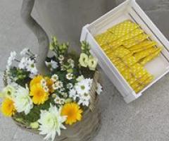 Catina Flora - Alberello con fiori recisi