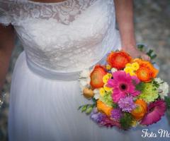 Magnolia di Mazzoli Elisa - La vivacità dei colori