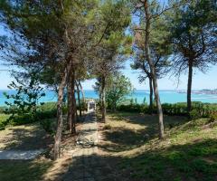 Villa Krizia - Il bosco della villa