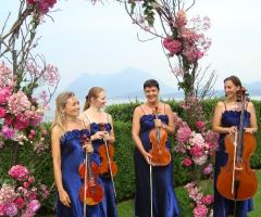 Violino e violoncello per la musica del matrimonio