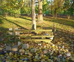 I colori dell'autunno, il parco