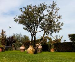 Agriturismo Monteparadiso - A contatto con la natura