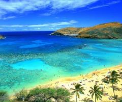 Valentina Villa CartOrange -  Le vivaci e colorate Hawaii