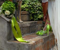 La sposa con il suo cane