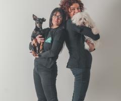 Canaglie da Matrimonio - Le tue Wedding Dog Sisters