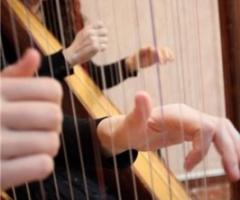 L'Arpa di Irene - Duo d'arpe celtiche per il matrimonio