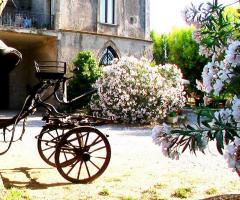 Giro in calesse per gli sposi