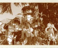 foto stile antico - Villa Crocioni