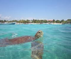 Le Gabbianelle - Viaggio di nozze Messico