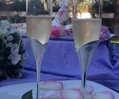 Hotel Aris Garden - Il brindisi sposi