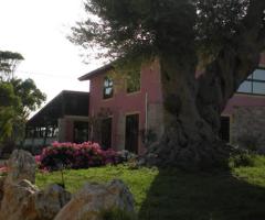 Agriturismo Donna Maria: ricevimenti per cerimonie a Portopalo di Capo Passero (Siracusa)