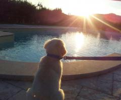 Il Moro Country House - Area della piscina al tramonto