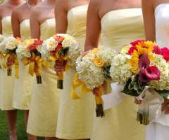 Silvia Forte Wedding & Event Planner - L'organizzazione del matrimonio ad Ancona