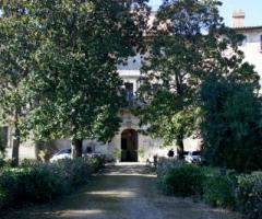 Viale alberato della location di matrimonio