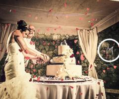 Taglio della torta da parte degli sposi