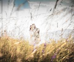 Amore campestre -Luca Fabbian Wedding Photography