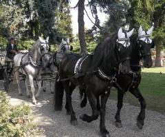 Azienda Marocco - Attacco misto ungheresi e frisoni