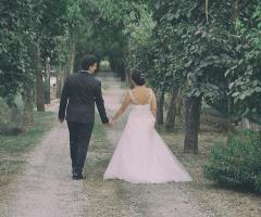 V|F FilmWord - Gli sposi a passeggio nel parco