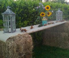 Angolo dei dolci - Illumina Eventi